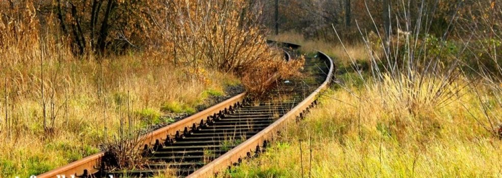 Kolej Nadzalewowa wr�ci? Pose� interpeluje, co na to Elbl��anie? - ankieta