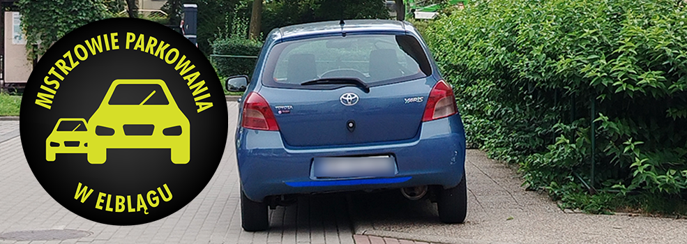 Mistrzowie Parkowania w Elbl�gu (cz�� 503)