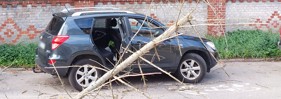 Uschni�te drzewo spad�o na samoch�d. Mieszka�cy: „O krok od tragedii"