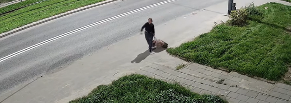 Martwego psa wyrzuci�a na �mietnik. Wiadomo kim jest kobieta z nagrania