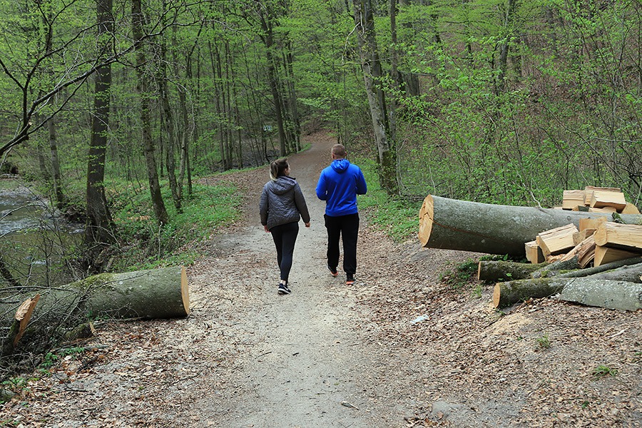 Baantarnia, trasa wzdu Srebnego Potoku