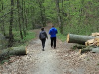 Baantarnia, trasa wzdu Srebnego Potoku